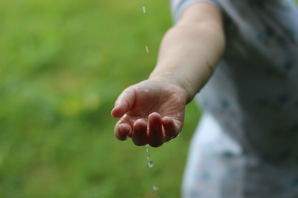 living sustainably