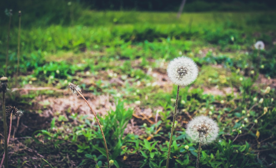 sustainability