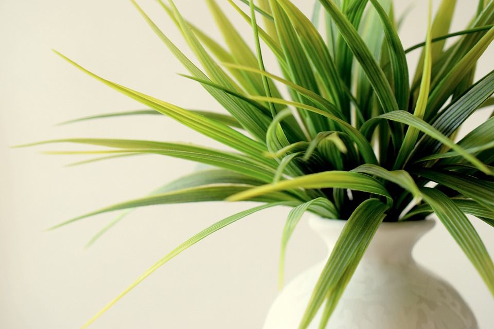 green living