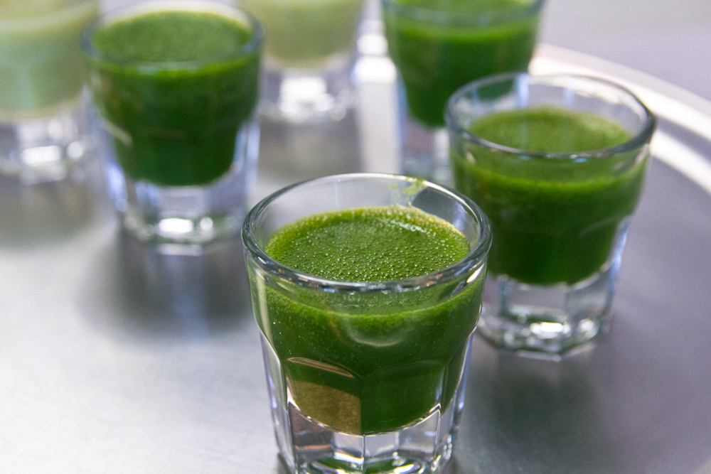 wheatgrass-shots