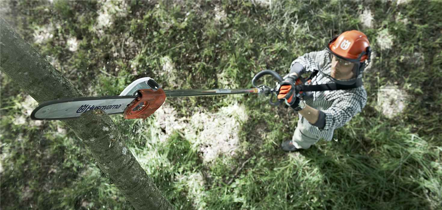 Pole-saw-sawing-trim-trees-prune
