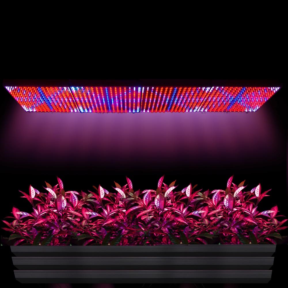 led-grow-lights