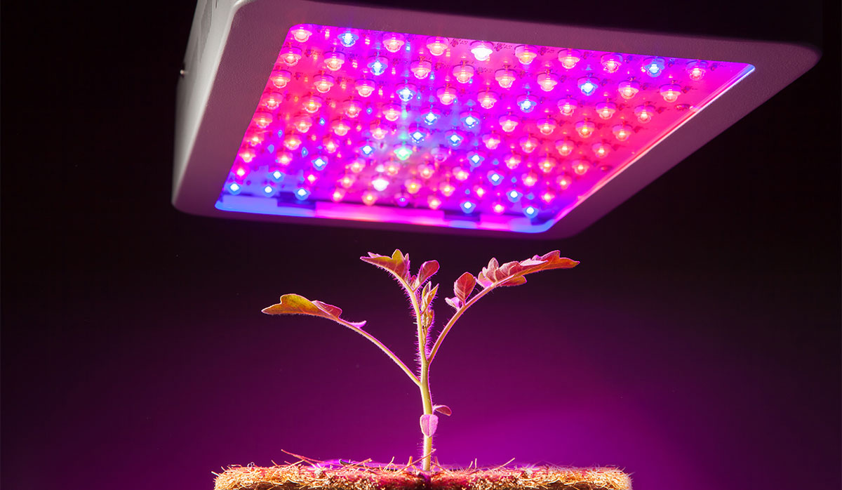 full-spectrum-led-grow-lights